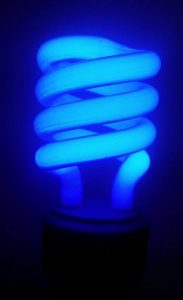 Picture of a blue-colored compact fluorescent lamp bulb in operation.