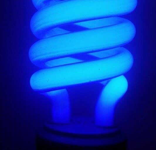 Picture of a Example of a blue-colored Compact Fluorescent Light Bulb in operation.