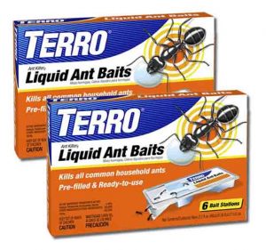 Terro liquid ant baits review. Picture of Terro ant baits, stock photo.
