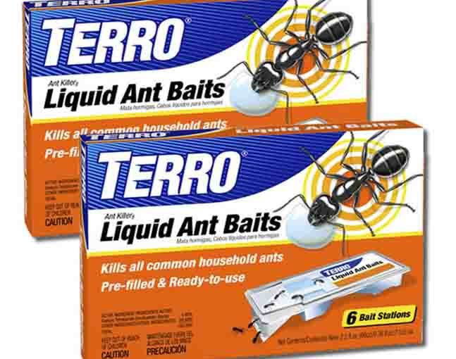 Picture of Terro Liquid Ant Baits, stock photo.