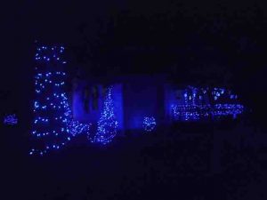 Picture of LED Outdoor Christmas lights, our house front south west corner. This shows bushes, spruce trees, and porch railing adorned with outdoor LED light strings.