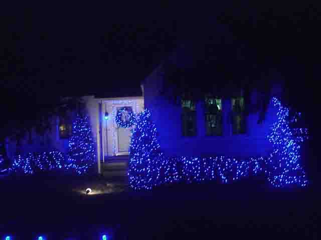 Blue LED Holiday Lights Outdoors, house front view, showing miniature lights on bushes and door wreath, as well as a few C9 LEDs on the front fence.