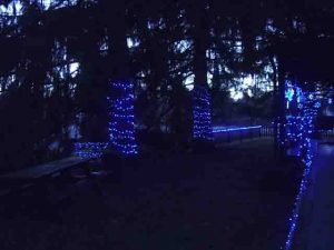Picture of LED light decorations outdoors, our home south yard. Showing fence, spruce tree, ditch bridge, and ramp decorations. 