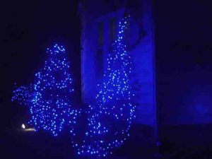 Picture of Blue Outdoor LED Christmas Lights, house front bushes decorated.
