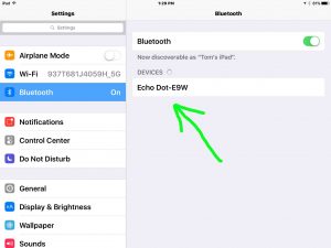 Picture of the iOS Bluetooth Found Devices List, showing Echo Dot entry.