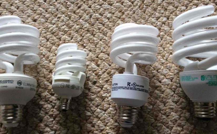 Picture of various sizes of compact fluorescent lamps (CFLs).