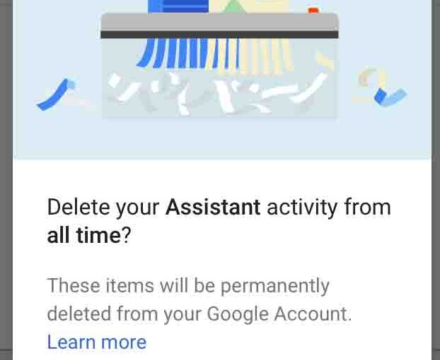 Picture of the Google Home app on iOS, displaying the -Delete Activity Confirmation- dialog box.