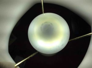 Picture of the Cree™ 60w LED daylight 5000k dimmable A19 light Bulb, glowing, showing the darker top part of the globe.