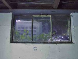 Picture of old basement window 5 to be replaced.