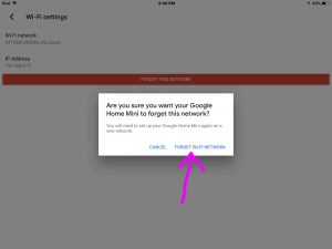 Picture of the Google Home app on iOS, displaying the -Forget This WiFi Network- confirmation dialog.