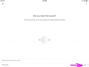 Picture of the Google Home app on iOS, displaying the -Did You Hear The Sound- screen for the Google Home Mini speaker.