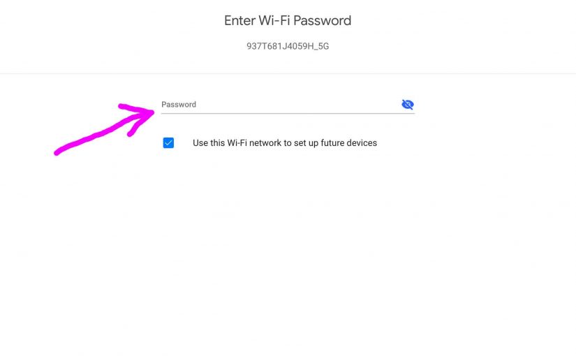 Picture of the Google Home App on iOS, displaying the -Enter Wi-Fi Password- screen, with the password entry field highlighted.