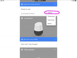 Picture of the Devices screen, showing an original Google Home speaker control menu, with the Settings option circled.