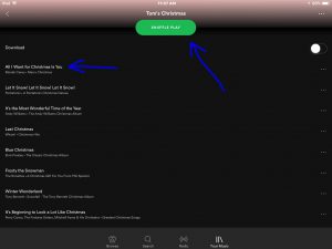 Screenshot of the Spotify app on iOS, displaying its single playlist screen, with the -Shuffle Play- button and first song in list highlighted.