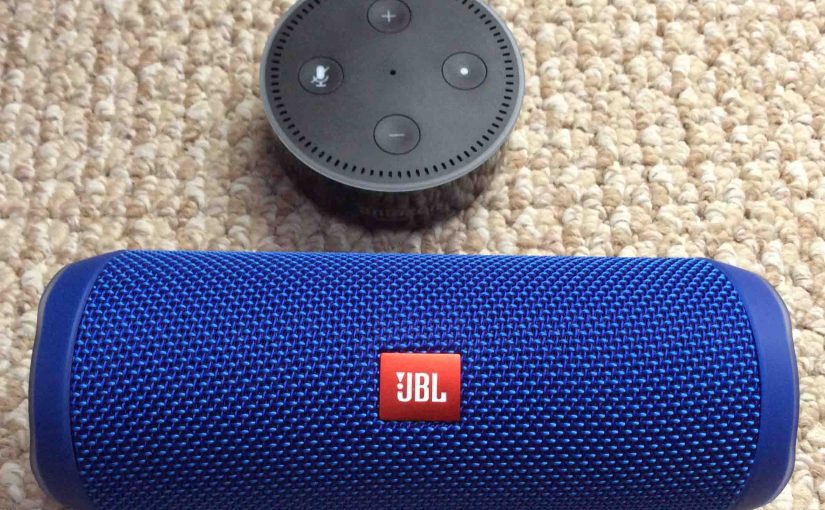 Picture of the JBL Flip 4 alongside an Amazon Echo Dot 2 speaker.