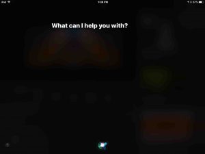 Screenshot of Siri prompting for voice command screen on iOS device.