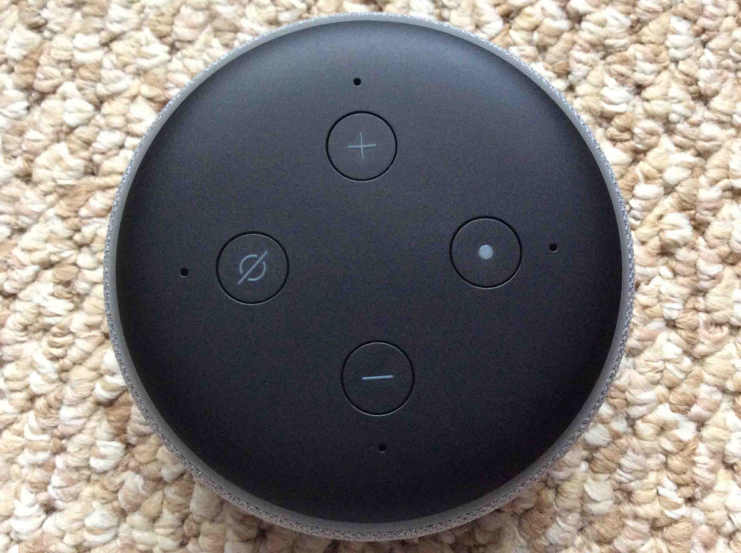 breakfast Scorch Get drunk How to Restart Alexa Echo Dot Speaker - Tom's Tek Stop