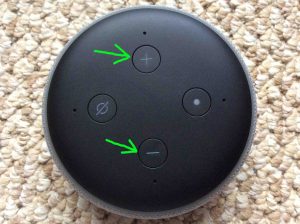 Picture of the Amazon Alexa Echo Dot 3 speaker with its Volume Up and Down buttons highlighted. Buttons on Echo Dot 3rd Generation.
