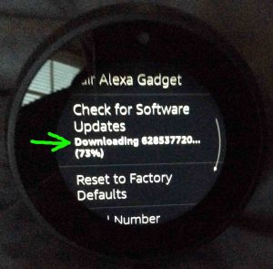 Picture of the -Device Options- screen, with the -Downloading Software- message highlighted. Updating Firmware on Echo Spot.