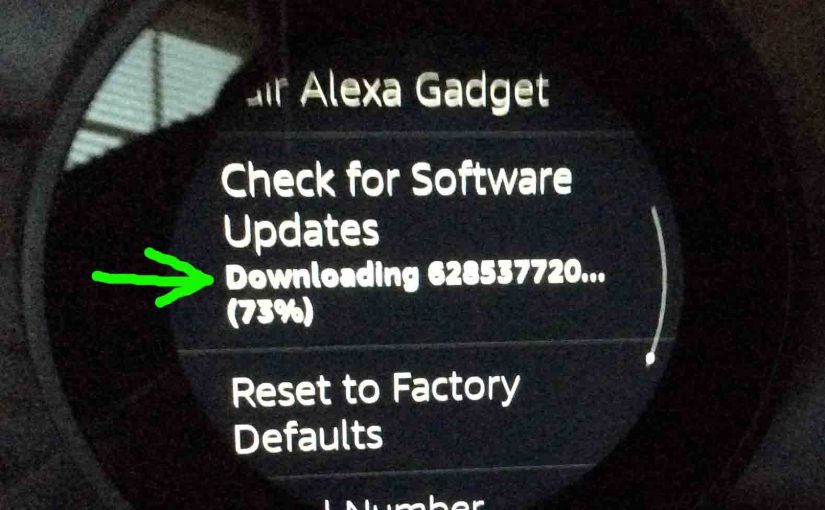 Picture of the Echo Spot Amazon speaker, showing its Device Options screen, with the Downloading Software message highlighted.