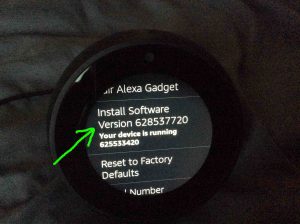 Picture of the speaker, displaying its -Device Options- screen, with the -Install Software Version- option highlighted.