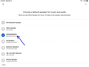 Screenshot of the Google Home app on iOS, displaying its -Choose a Default Speaker- page, with a Logitech Wonderboom highlighted.