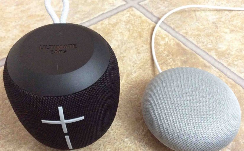 Picture of the UE Wonderboom Bluetooth speaker alongside a Google Home Mini smart speaker.