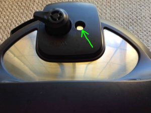 Picture showing the Float Valve highlighted. Instant Pot WiFi Buttons.