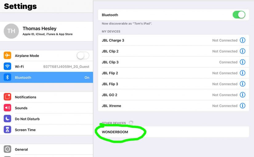 Screenshot of the iPadOS Bluetooth Settings page, showing the Wonderboom speaker as discovered.
