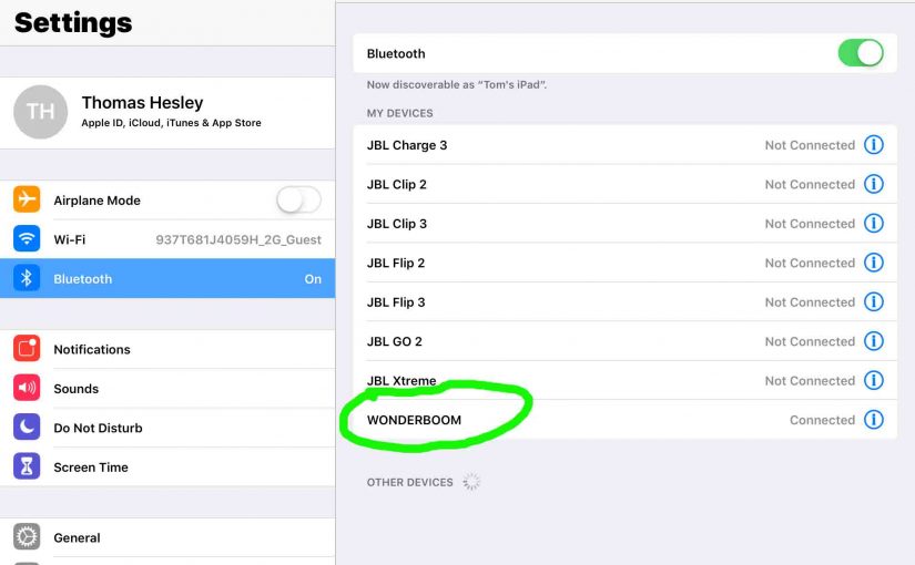 Picture of the iOS Bluetooth Settings page, Showing the Wonderboom UE speaker as paired, and circled.