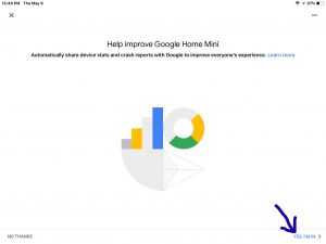 Screenshot of the Google Home app on iOS, showing its - Help Improve Google Home Mini- page, with the - Yes I'm In- button highlighted.