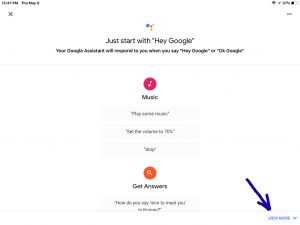 Screenshot of the Google Home app on iOS, showing its -Just Start With Hey Google- page, with the -View More- link highlighted. How to Set Up Google Mini Speaker.