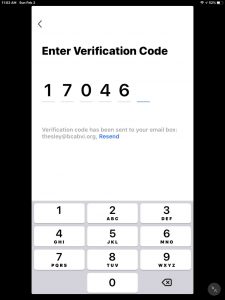 Screenshot of the Gosund app for iPadOS, showing its -Enter Verification Code- page, with five of six digits entered.