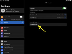 Screenshot of the iPadOS Bluetooth Settings page, showing the speaker as found and highlighted.