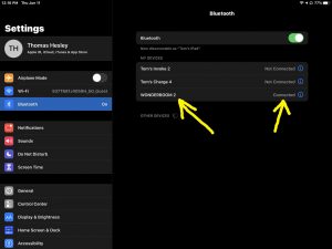 Screenshot of the iPadOS Bluetooth Settings page, showing the Ultimate Ears Wonderboom 2 speaker as paired, and highlighted by the arrows.