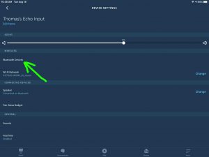 Screenshot of the Alexa app on iPadOS, displaying the -Device Settings- page for the Echo Input, with the -Bluetooth Devices- option highlighted. How to Pair Alexa with Bluetooth Speaker.