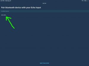 Screenshot of the -Pair Bluetooth Device with Echo Input- page. Showing the Sony speaker discovered.