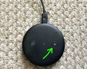 Picture of the Action button highlighted, on the top of the Echo Input device.
