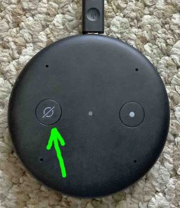 Top view of the Alexa Echo Input device, showing the dark mute button, meaning that Mute is OFF.