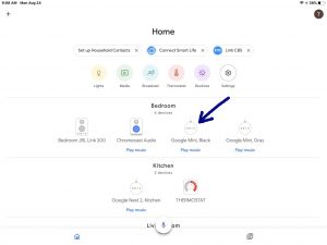 Screenshot of the Google Home app on iOS home page, with a -Google Mini Black- speaker highlighted.