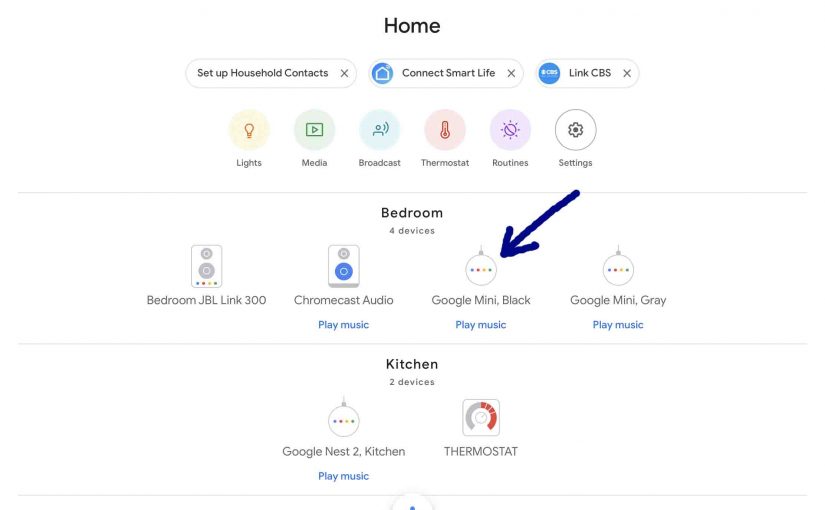 Screenshot of the Google Home app on iOS home page, with a -Google Mini Black- speaker highlighted.