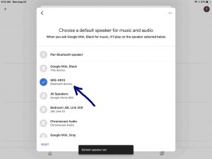 Screenshot of the -Choose a Default Speaker- page, with the Sony SRS XB10 now paired and set as the default speaker.