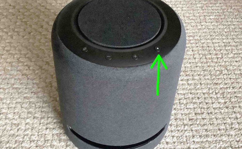 Picture of the -Action- button on the Alexa Echo Studio speaker.