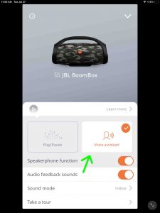 The app, showing the Boombox Settings page, with -Voice Assistant- function set.