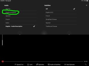 The Netflix player -Audio and Subtitles- menu, showing one option without audio subtitles.