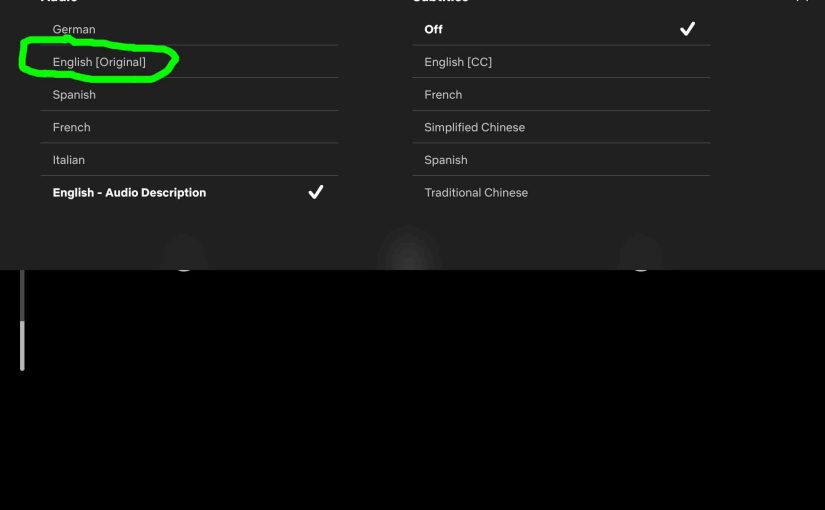 The Netflix player -Audio and Subtitles- menu, showing one option without audio descriptions.