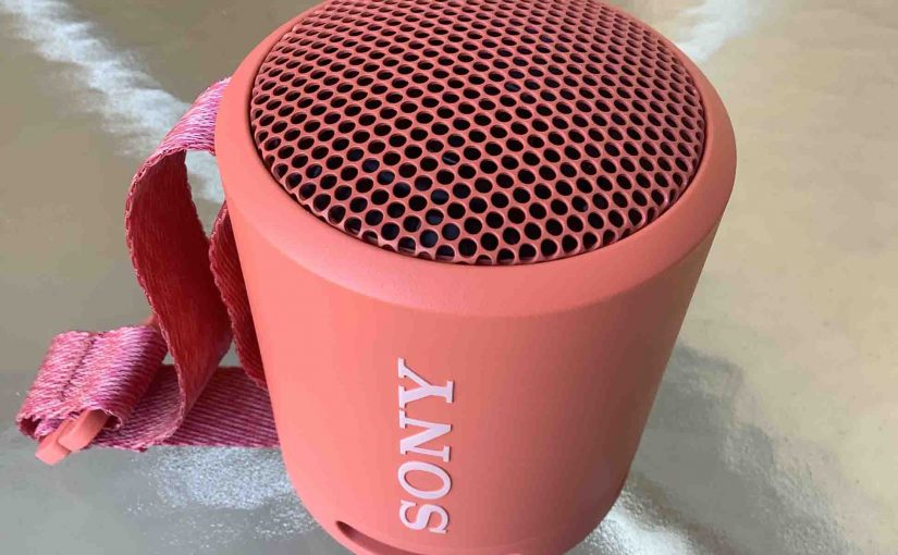 How to Reset Sony Speaker SRS-XB13