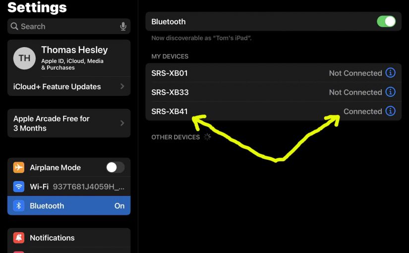 Screenshot of the iPadOS -Bluetooth Settings- page, showing the Sony SRS XB41 speaker as Connected.