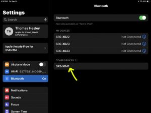 Screenshot of the iPadOS -Bluetooth Settings- page, showing the Sony SRS XB41 as Discovered but not Connected.