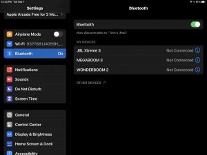 Screenshot of the iPadOS -Bluetooth Settings- page showing nothing discovered. How to Pair Sony SRS XB33.